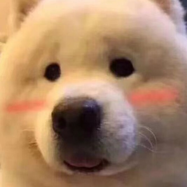 生物,化学,语文,数学