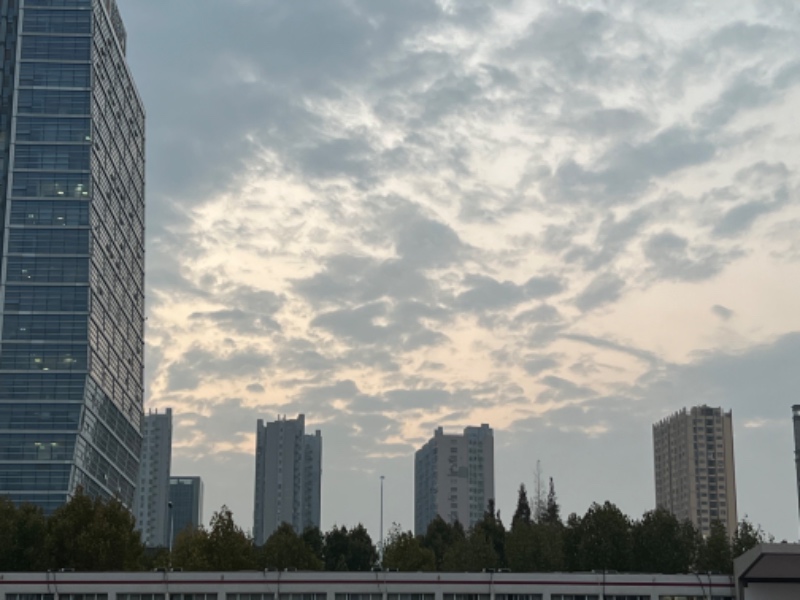 语文,英语
